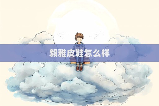 毅雅皮鞋怎么样  第1张