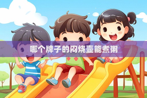 哪个牌子的闷烧壶能煮粥  第1张