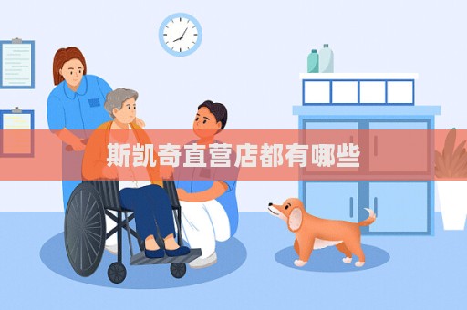 斯凯奇直营店都有哪些