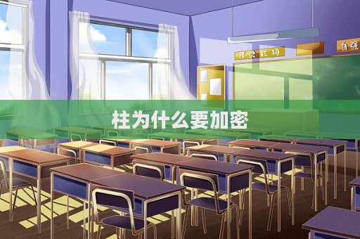 柱为什么要加密  第1张