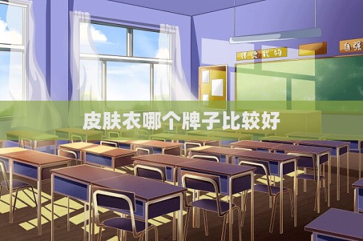 皮肤衣哪个牌子比较好  第1张
