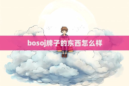 bosoj牌子的东西怎么样  第1张