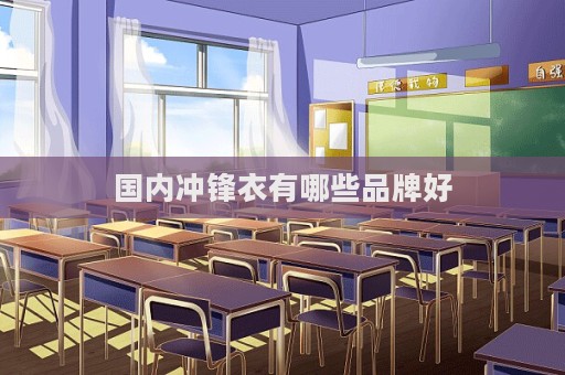 国内冲锋衣有哪些品牌好  第1张