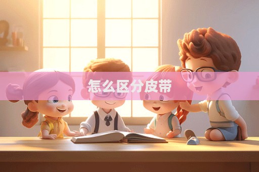 怎么区分皮带