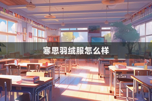 寒思羽绒服怎么样  第1张