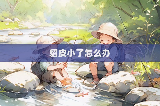 貂皮小了怎么办  第1张