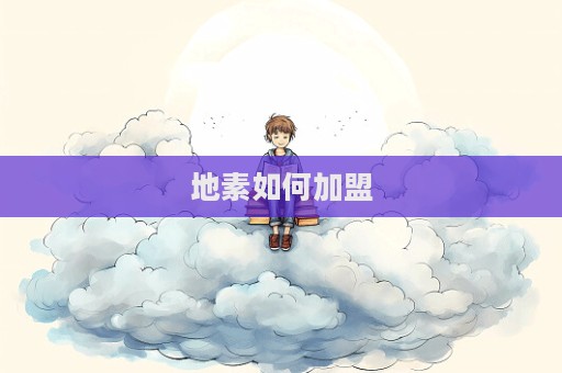 地素如何加盟  第1张