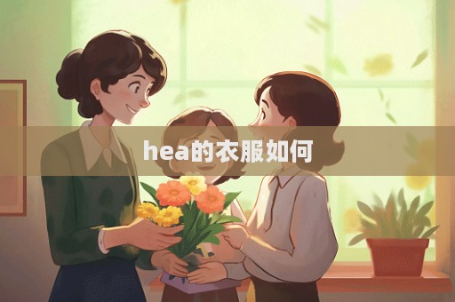 hea的衣服如何  第1张