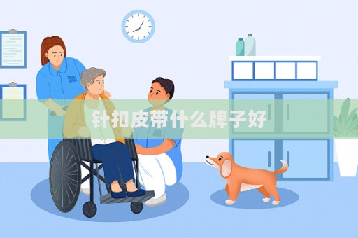 针扣皮带什么牌子好
