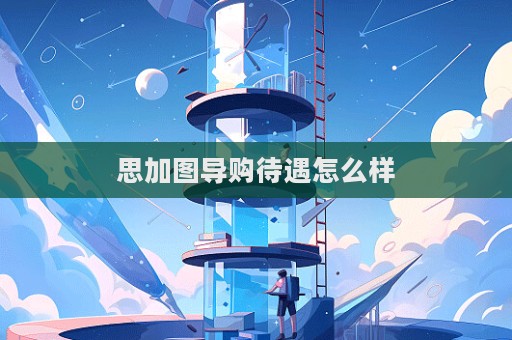 思加图导购待遇怎么样  第1张