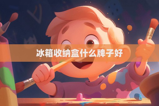 冰箱收纳盒什么牌子好