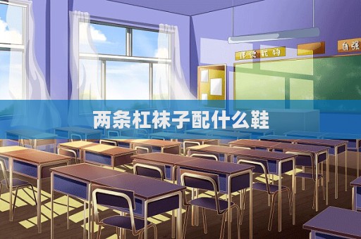 两条杠袜子配什么鞋