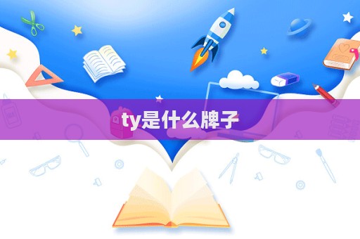 ty是什么牌子  第1张