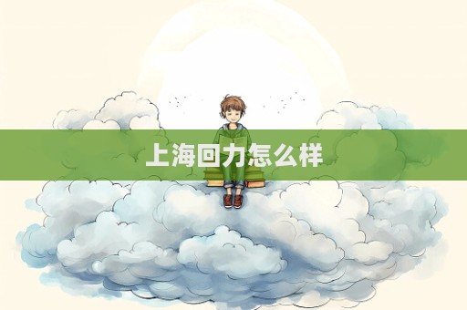 上海回力怎么样  第1张
