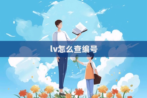 lv怎么查编号  第1张