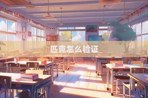 匹克怎么验证  第1张