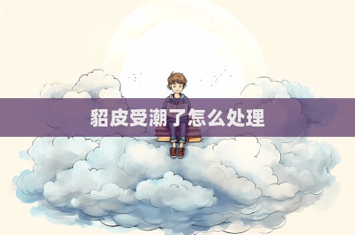 貂皮受潮了怎么处理