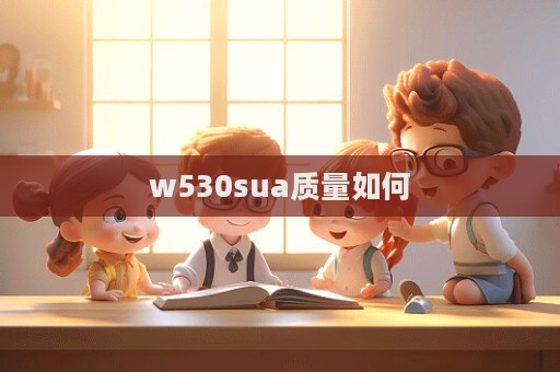 w530sua质量如何