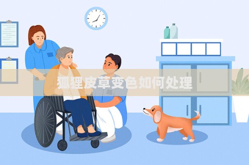 狐狸皮草变色如何处理  第1张