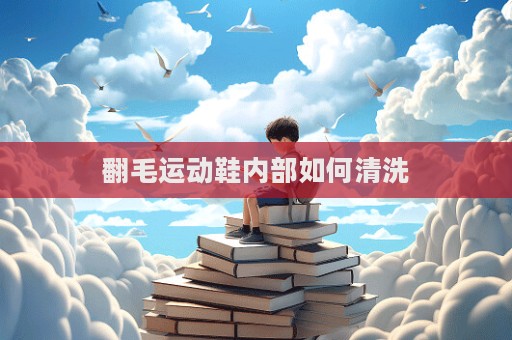 翻毛运动鞋内部如何清洗  第1张