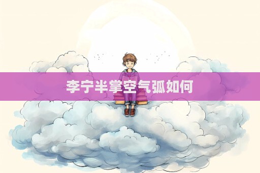 李宁半掌空气弧如何  第1张