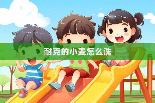 耐克的小麦怎么洗  第1张