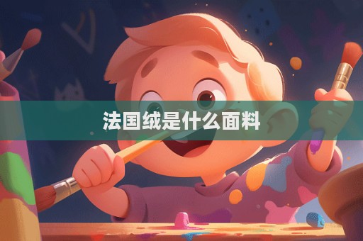 法国绒是什么面料  第1张