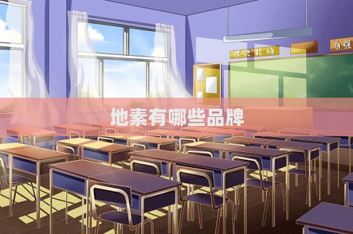 地素有哪些品牌  第1张