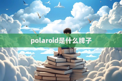polaroid是什么牌子