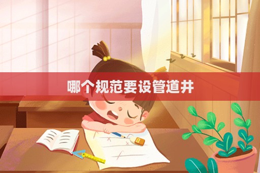 哪个规范要设管道井