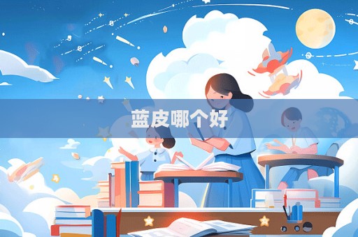 蓝皮哪个好  第1张