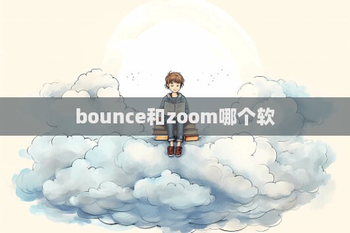 bounce和zoom哪个软  第1张