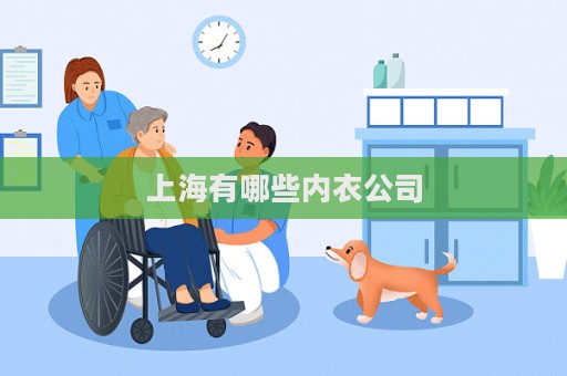 上海有哪些内衣公司  第1张