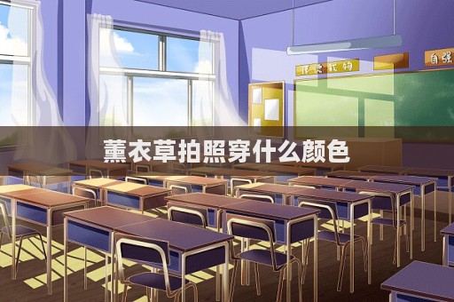 薰衣草拍照穿什么颜色