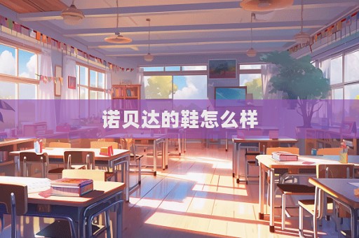 诺贝达的鞋怎么样  第1张