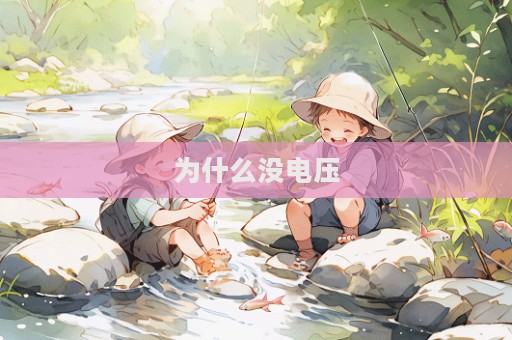 为什么没电压