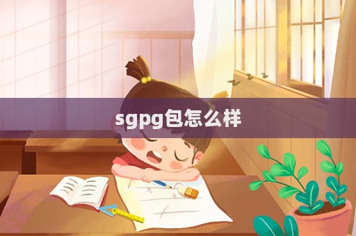 sgpg包怎么样  第1张