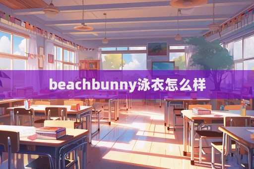 beachbunny泳衣怎么样  第1张