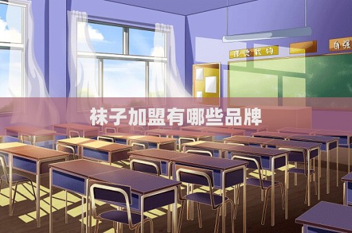 袜子加盟有哪些品牌