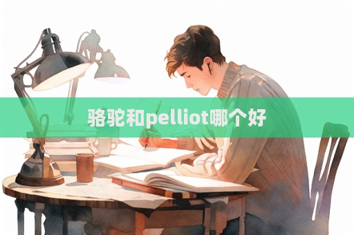 骆驼和pelliot哪个好