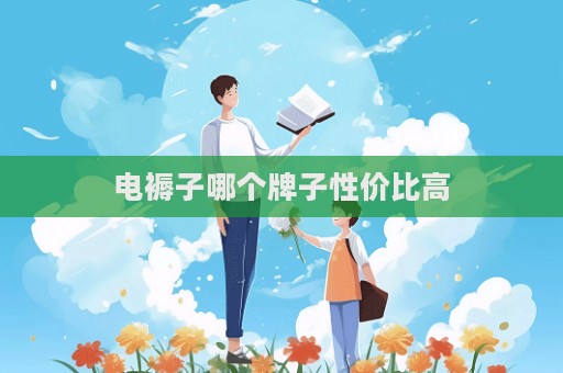 电褥子哪个牌子性价比高