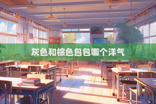 灰色和棕色包包哪个洋气