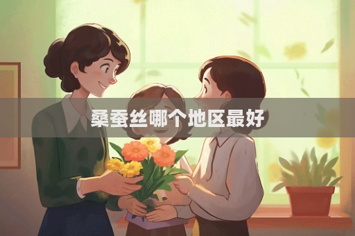 桑蚕丝哪个地区最好
