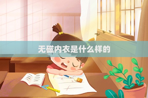 无磁内衣是什么样的
