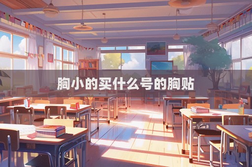 胸小的买什么号的胸贴