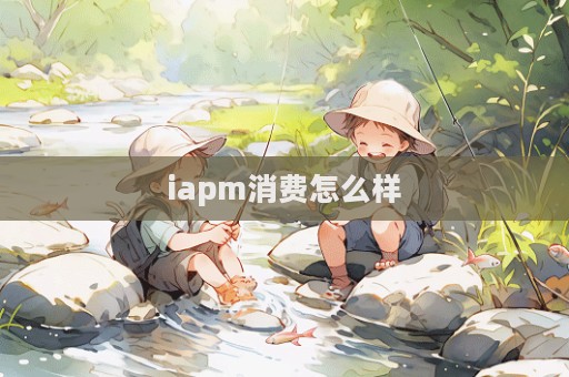 iapm消费怎么样