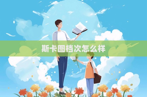 斯卡图档次怎么样  第1张