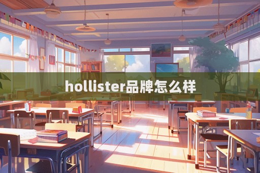 hollister品牌怎么样