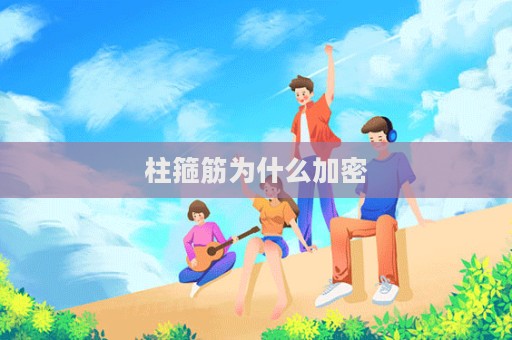 柱箍筋为什么加密