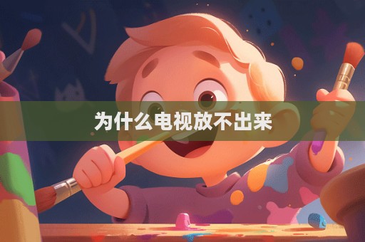 为什么电视放不出来